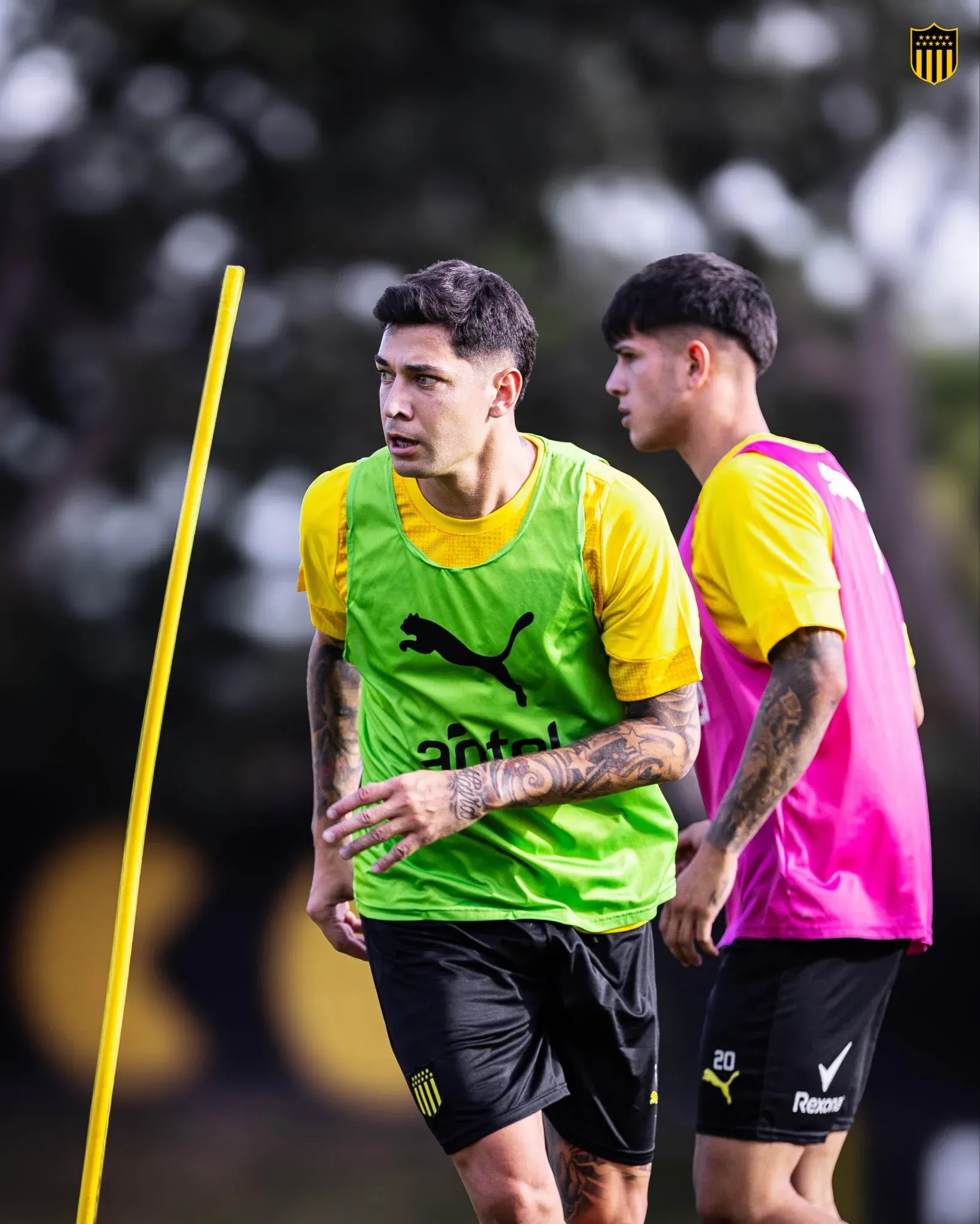 Peñarol también participa en la Serie Río de la Plata. Foto: Peñarol.