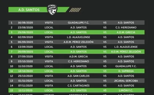 El fixture personalizado de Santos (Fuente: Unafut)