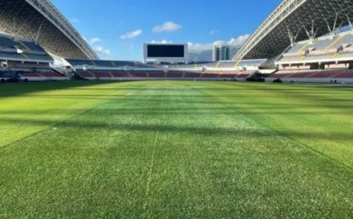 El estado del césped del Estadio Nacional hoy.