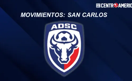 Toros del Norte