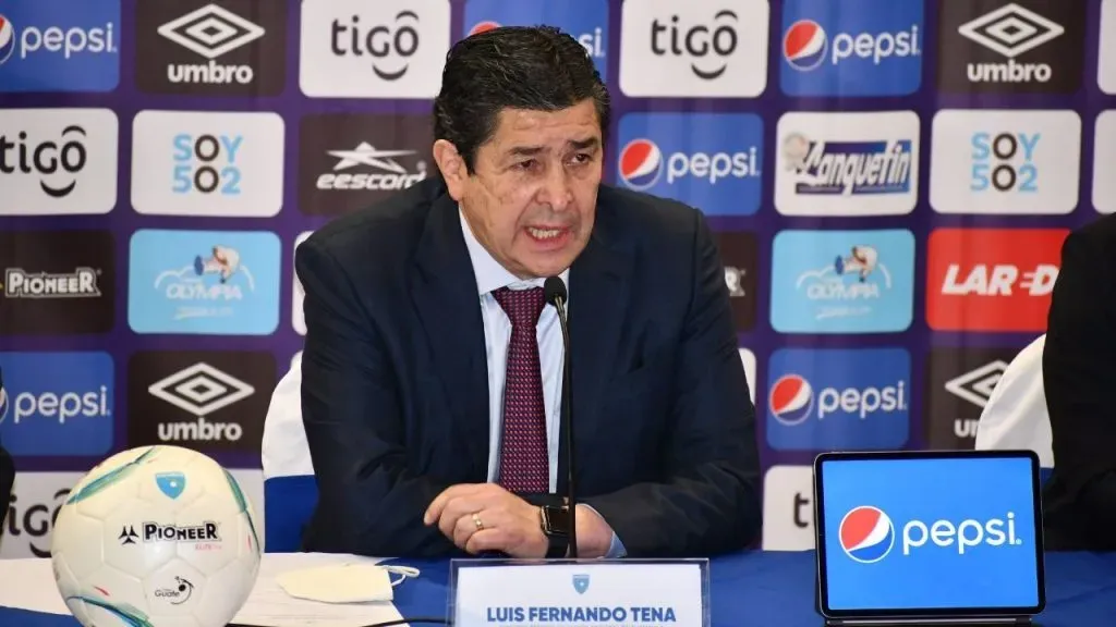 Declaraciones de Luis Fernando Tena