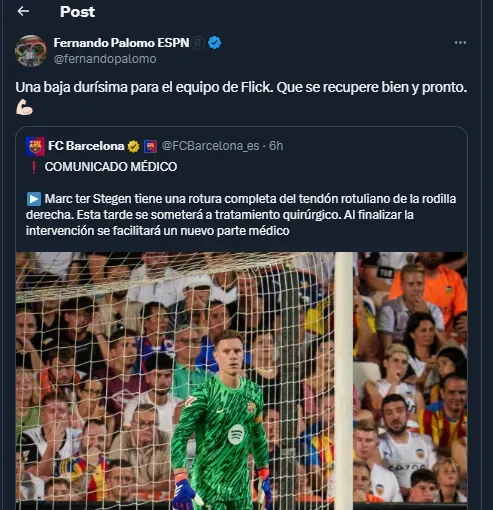 Fernando Palomo en su cuenta oficial de X