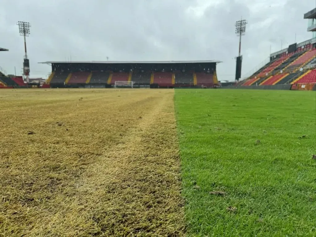 La Catedral cambia de piel (LDA).
