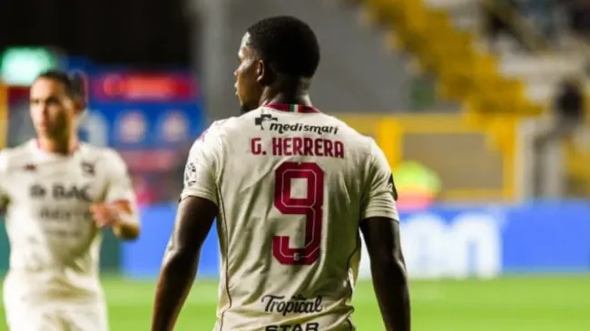 Gustavo Herrera quedó en el centro de las críticas.