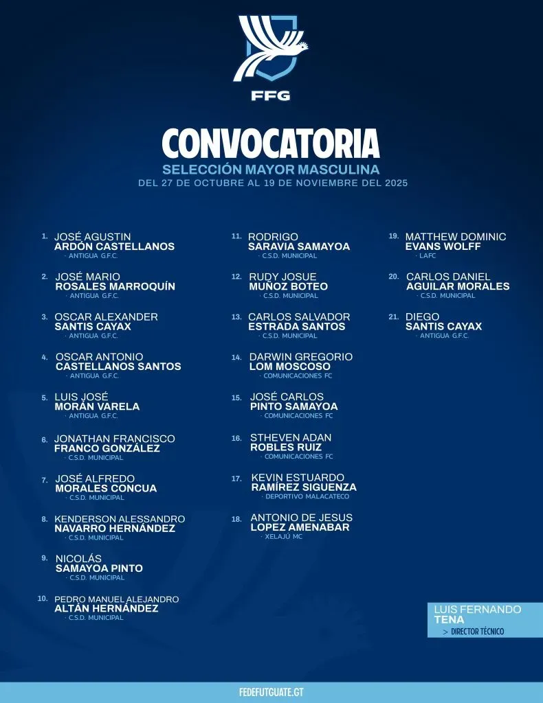 Los convocados por Tena para el último microciclo.