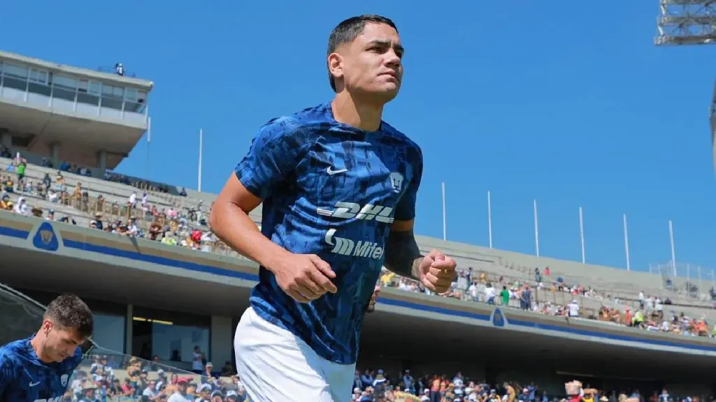 Pumas