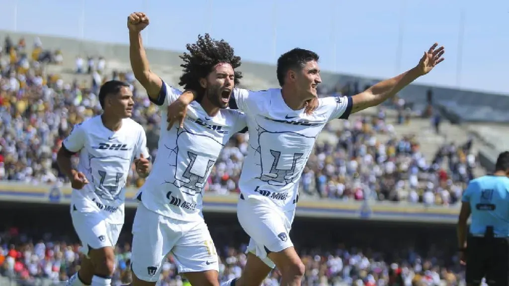 Pumas