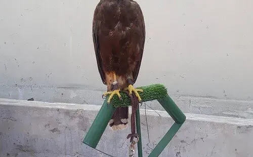 Foto: @SoyMatiMedina