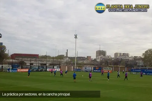 Entrenamiento-por-sectores