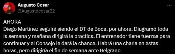 Boca mantuvo en el cargo a Diego Martínez. (Captura)