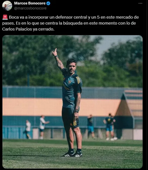 Los dos puestos a reforzar en Boca. (Captura)