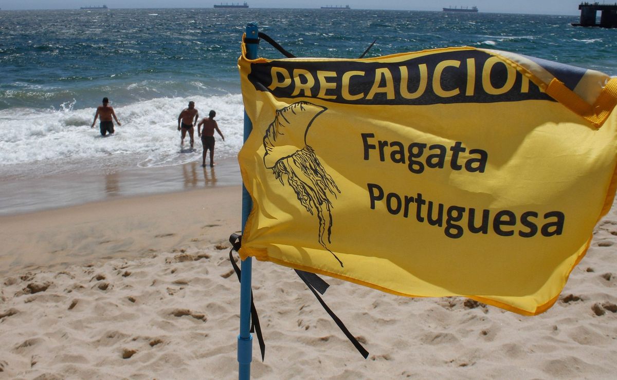 É proibido nadar na praia de Tongoy por causa da fragata portuguesa