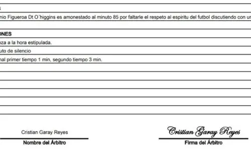 Informe de Cristián Garay