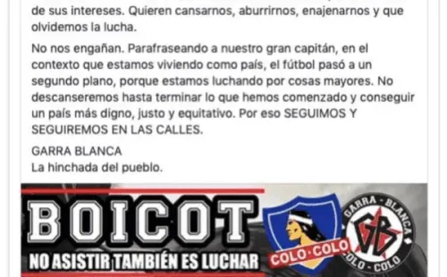 Garra Blanca de Colo Colo