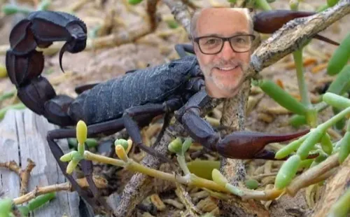 Ni el nombre del archivo gráfico se salvó de las burlas, con “Alver_Tu_Plaza_Charcha_paseando_en_Mall_de_Miami,_Florida.jpg” como nombre.