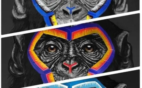 La polémica pintura de tres monos armó la batahola en la Serie A italiana