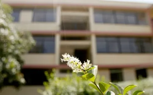 El proceso de postulación al subsidio para la Clase Media por primera vez será sólo online.