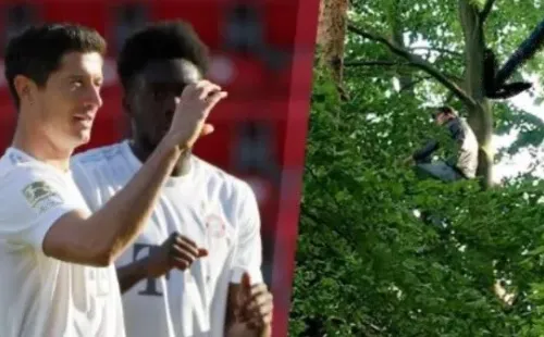 Hinchas sobre el árbol para ver el partido