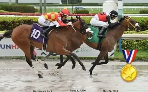 Days of Spring triunfó en Gulfstream Park. La yegua, tras su retiro, irá al Haras Il Campione como vientre de cría, reducto de propiedad del King.