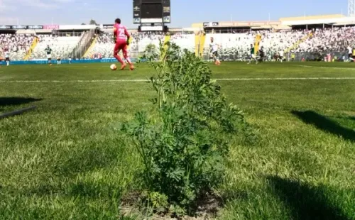 Ruda monumental