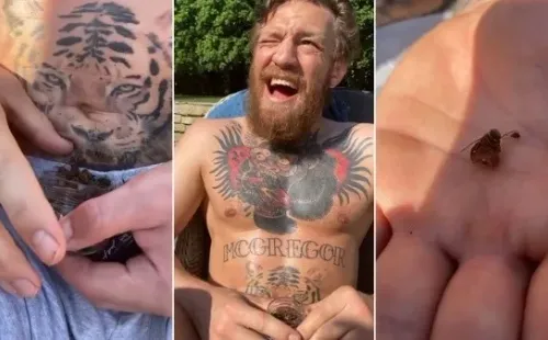 Conor McGregor suma una nueva locura a su lista y comió desde un frasco de abejas muertas