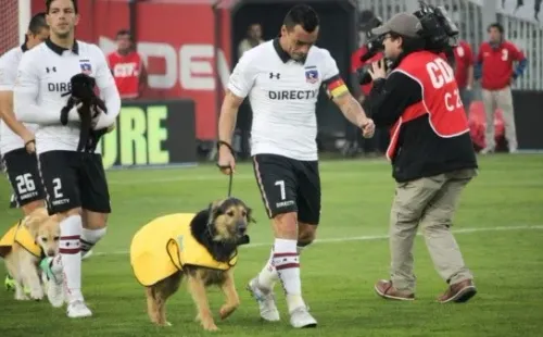 Capitán junto a su “colega” Esteban Paredes en un partido ante Antofagasta en 2017. En la ocasión, los jugadores de Colo Colo entraron al campo con perros en adopción, fomentando esta campaña de UAA. Foto: Guille Salazar