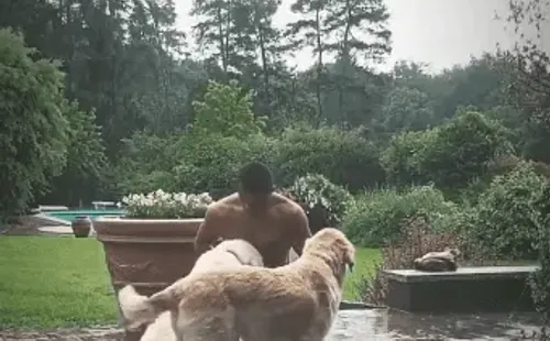 Alexis