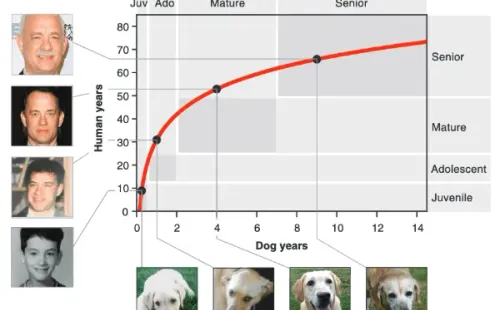 Esta es la propuesta de edad de los perros del estudio.