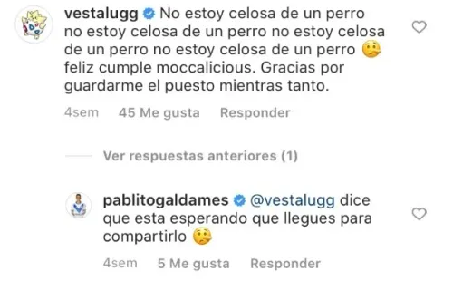 El mensaje de Vesta Lugg en el Instagram de Pablo Galdames.