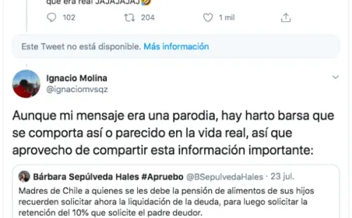 El tuit con la explicación de @ignaciomvsqz sobre labroma porla pensión alimenticia y el retiro del 10%.