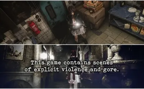 Cámara fija y horror, una combinación clásico de los videojuegos.