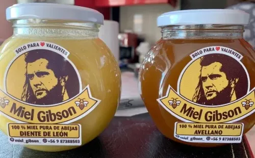 La imagen que molestó a los abogados de Mel Gibson.