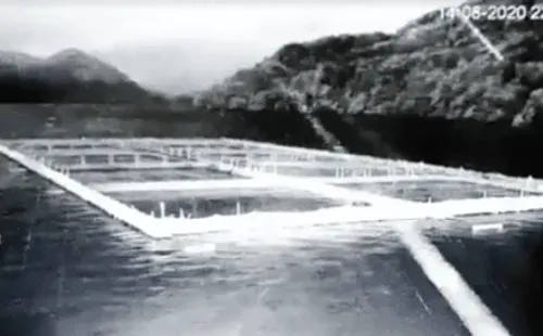 Otro de los registros corresponde a un centro de cultivo, donde se puede ver la potencia de la luz del meteorito en el cielo.