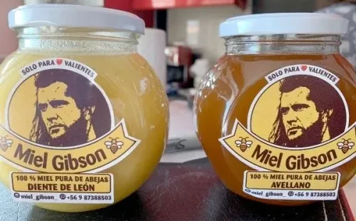 Miel gibson no podrá usar la imagen de William Wallace.