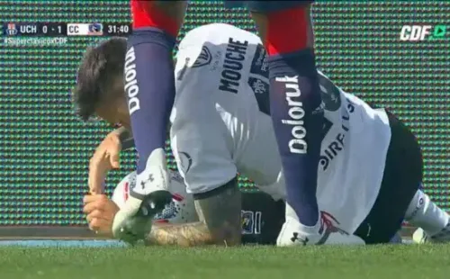 Mouche