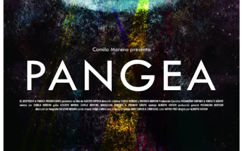 El afiche oficial del documental de Camila Moreno