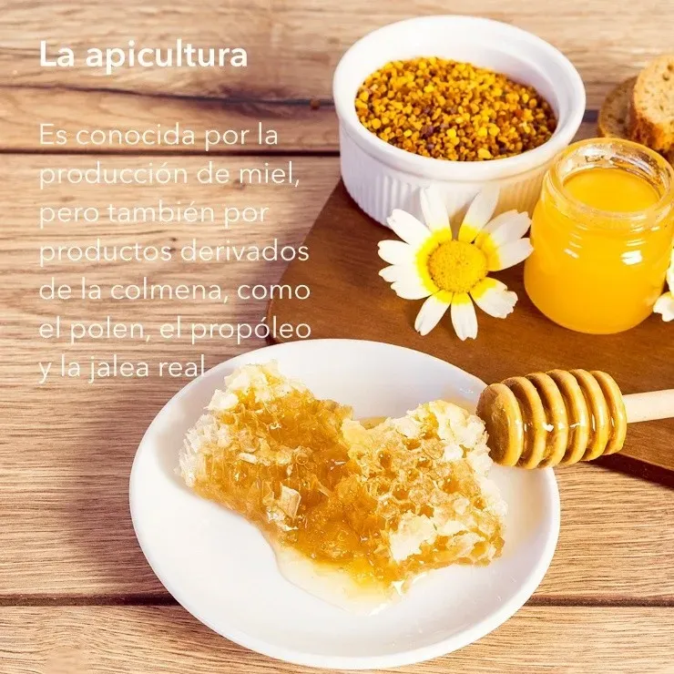 actúa directamente en la irritación de garganta, especial para quienes usan la voz como medio de trabajo, como locutores o relatores. | Foto: Apiverk.