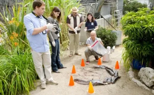 El equipo que protagonizó las temporadas originales de “Dexter”.