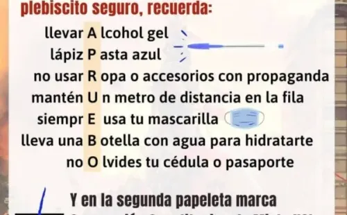 Agrupaciones recomiendan no ir a votar con prendas alusivas a las opciones del Plebiscito Nacional | Foto: @quechiledecida