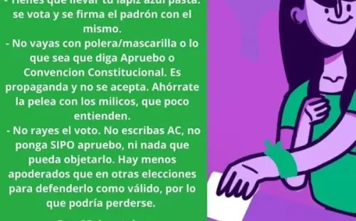Agrupaciones recomiendan no ir a votar con prendas alusivas a las opciones del Plebiscito Nacional | Foto: @redfeministachileinter
