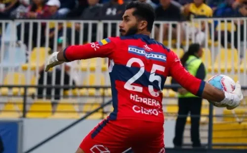 Herrera cree que el Zanahoria Pérez merece una chance en La Roja.