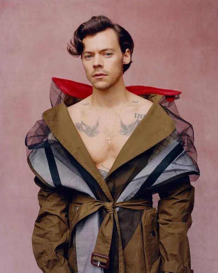 Harry Styles en Vogue