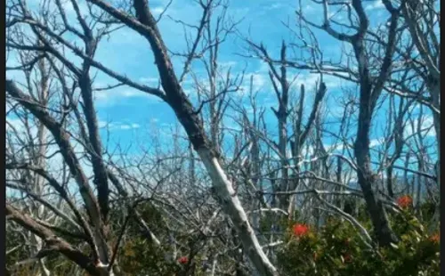 Kel Calderón en el viaje al que fue invitada por Claudio Iturra, por las Torres del Paine.(10)