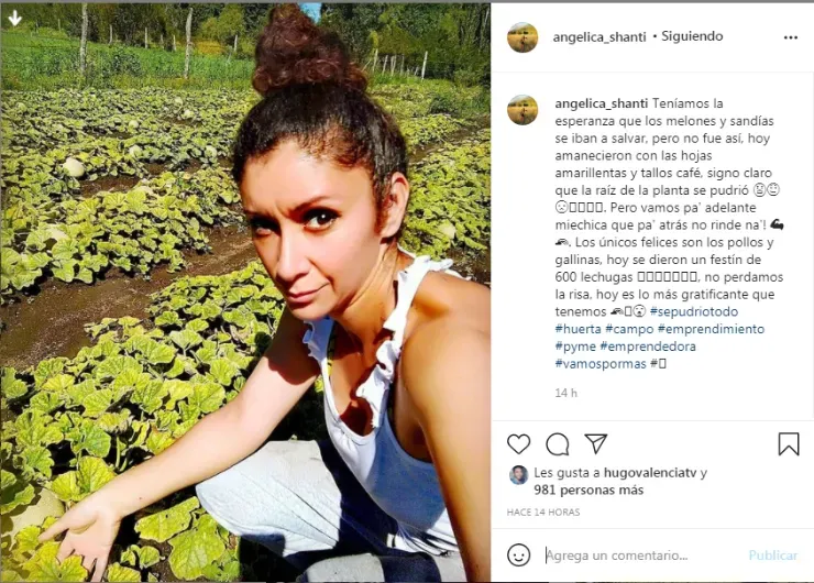 Angélica Sepúlveda