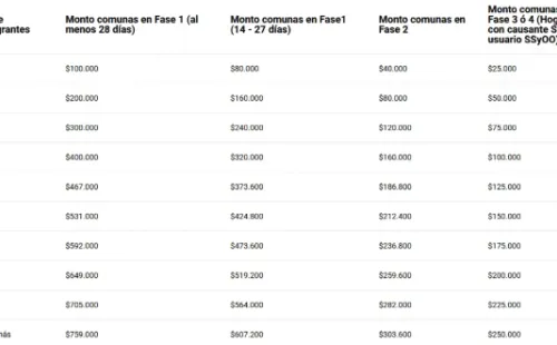 Montos del IFE&BonoCOVID