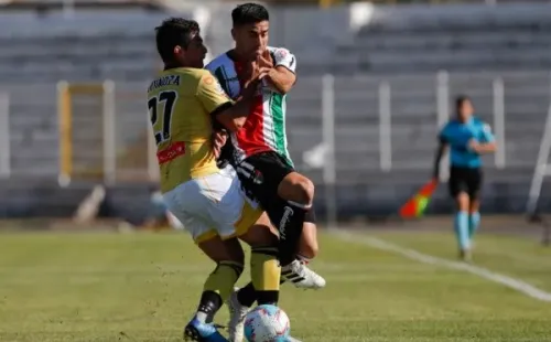 Palestino