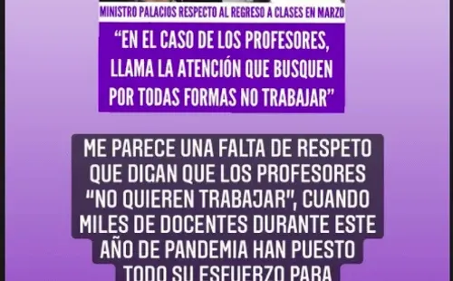 La publicación de Daniela Aránguiz contra el ministro de Economía, Lucas Palacios, por sus dichos sobre los profesores.