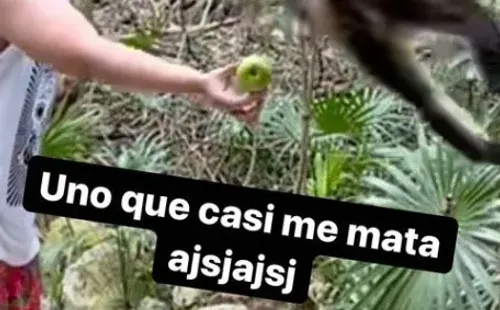 Nano Calderón con monos en sus vacaciones en México