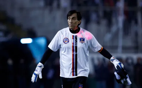 Rojas