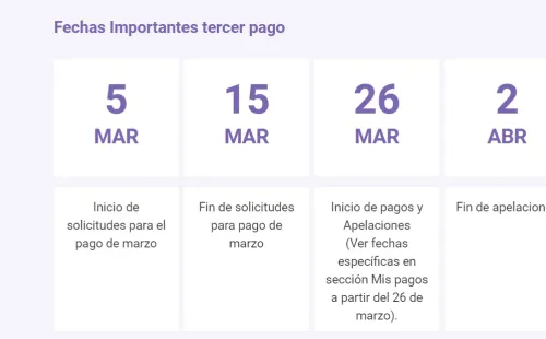 Estas son las fechas que contempla el proceso del IFE y Bono Covid de marzo. Foto: Ingresofamiliardeemergencia.cl